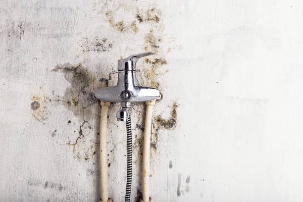 Best Bathroom Mold Remediation in Sutherlin, OR