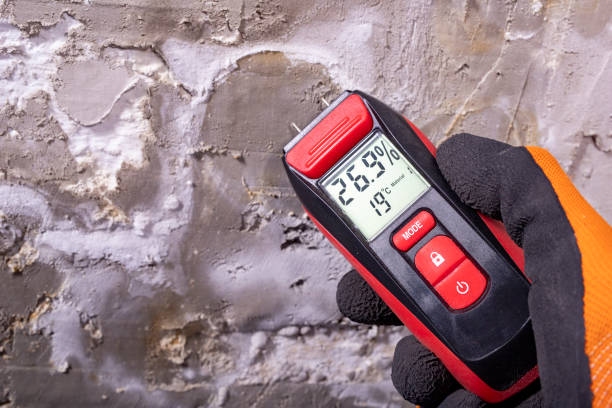 Best Emergency Mold Remediation in Sutherlin, OR