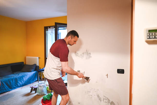 Best Mold Testing and Inspection Services in Sutherlin, OR